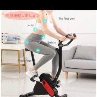 ☆最後の最終値下げです☆   ｴｱﾛﾊﾞｲｸほとんど新品に近いですの画像