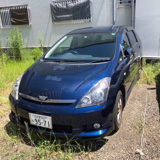 【ウィッシュ】10万の画像