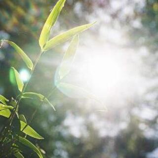 シータヒーリング、オラクルカードリーディング