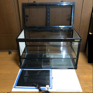 ケースバイケース60 ナイーブ付き