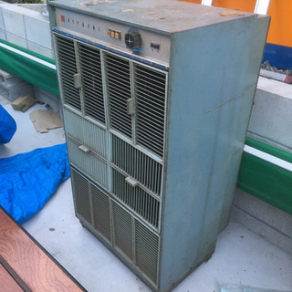 オブジェにいかがでしょうか❓