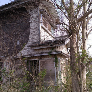 🔶不要な不動産を買い取ります。長期放置された空き家、空き地、別荘、廃墟、耕作放棄地の⭐️定期点検、管理、集客、地域活性化のお手伝い❗空き家対策、再生、地域の守りに❗の画像