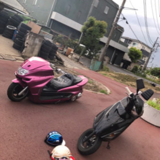 マジェロンホイの画像