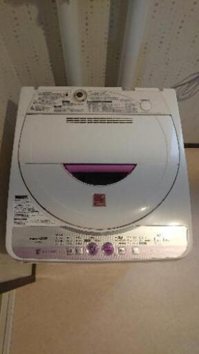 洗濯機 ステンレスそう 5.5kg SHARP ES-55E6-KP