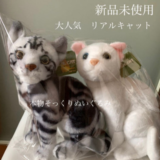 リアルキャット　本物そっくりぬいぐるみ　高級感ぬいぐるみ　インテ...
