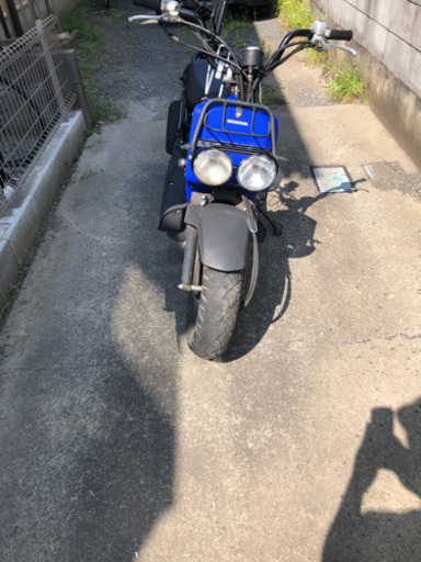 【急募】ZOOMER