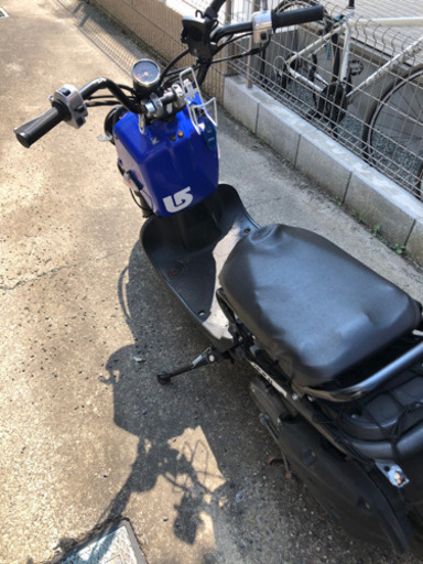 【急募】ZOOMER