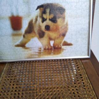 更に値下げしました!可愛い子犬のジグソーパズルの画像