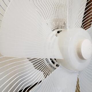 扇風機 美品箱有りの画像