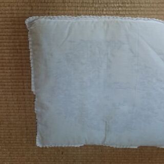 座布団 5枚セット(白)