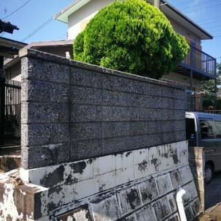 植木さしあげますの画像
