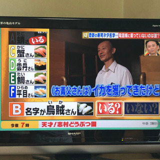 SHARP 液晶テレビ 32型（世界の亀山モデル）の画像