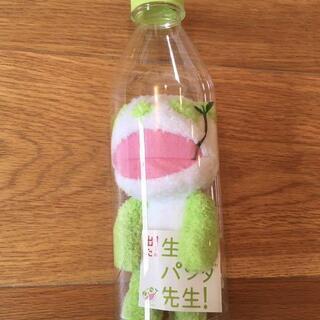 【全7点】生茶パンダ先生セット (ペットボトル入1点＆キーホルダ...