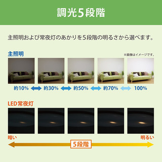 NEC 12畳用 シーリングライトの画像