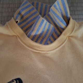 Tシャツ？の画像