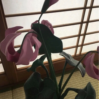 インテリア雑貨　花　木製　ハンドメイド　の画像