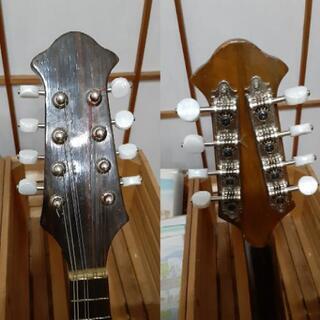 ジャパンオールドSuzuki No.206 マンドリン（再生品/大特価）の画像