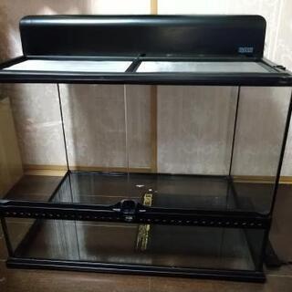 【受付停止・売約済】爬虫類 ケージセット　グラステラリウム60×45
