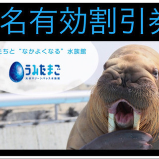  🐬最大500円割引🐬うみたまご    割引券  🐬5名まで割引可能🐬