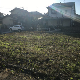 草刈り、草取り引き受けます。