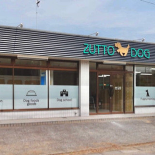 犬の幼稚園スタッフ　犬のお世話係