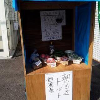 美唄市　新鮮野菜、一盛り100円から