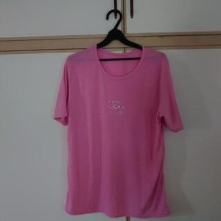 婦人用半袖1の画像