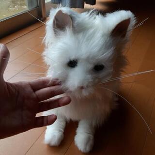 セガ　夢ねこプレミアム