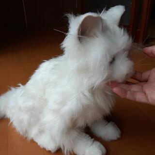 セガ　夢ねこプレミアムの画像