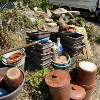 鉢です。の画像