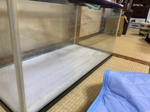 900水槽 ニッソー 爬虫類ケージと交換可能の場合無料