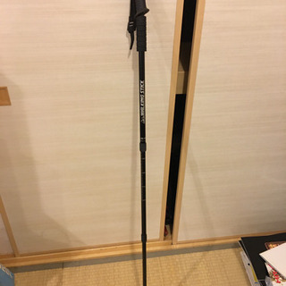 ウォーキングステッキの画像