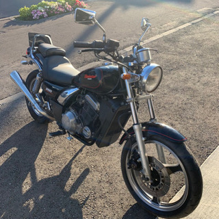 Kawasaki ｶﾜｻｷ ｴﾘﾐﾈｰﾀｰ250SE  実働!書...