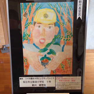 ★絵が苦手な子専用☆絵が好きになる子供絵画教室(基礎6回講座)生...
