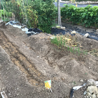 ※募集停止中です。可児市(畑土として使用可能です)            無料で差し上げます。の画像