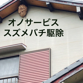 ゴキブリ、蜂の巣、ヘビなどのその他駆除致します‼️