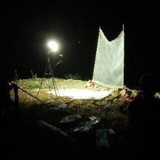 ミヤマ♂♀、ノコギリ♂(ワンコイン)