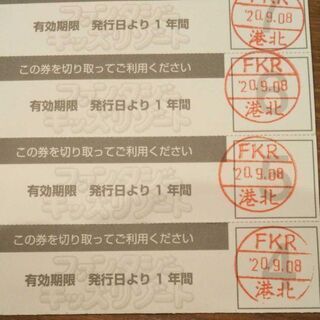 ファンタジーキッズリゾート チケット 回数券の画像