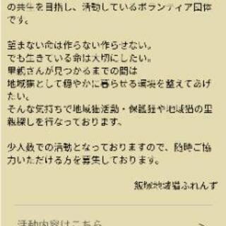 地域猫活動飯塚市