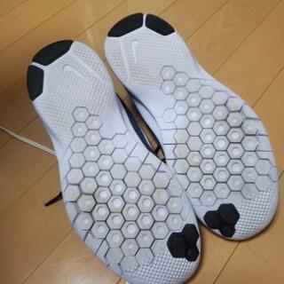ナイキ FLEX EXPERIENCE 8  26.0cmの画像