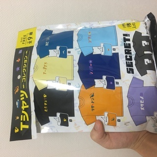 Tシャツコレクション　カタカナポケモン　ピカチュウ
