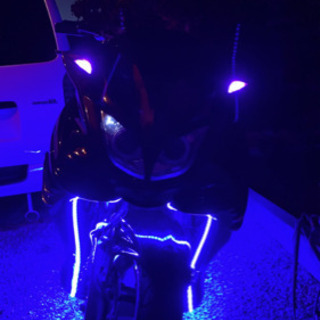 マジェスティ 最終値下げの画像