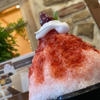 気軽に遊べる人募集