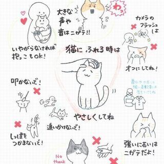 ■08/29　【モフ活】保護猫と隠れたカフェへ - 中野区