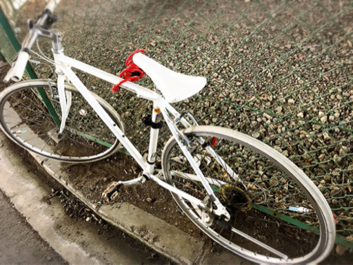 クロスバイク白WEEK END(size510)  
