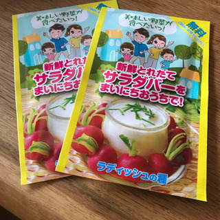 植物もらって下さいの画像