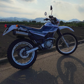 セロー225WE 4JGの画像