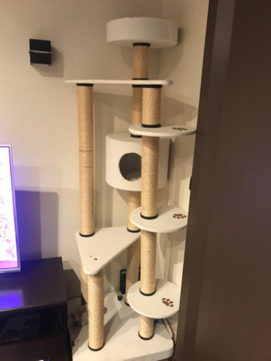 【譲渡先決定】キャットタワー大型