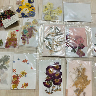 【お取引決定】押し花素材いろいろ💐