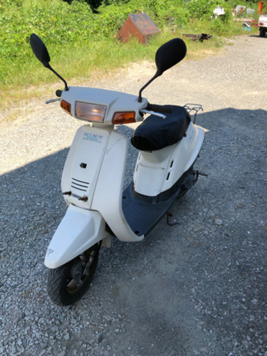 ヤマハミント(お話中)